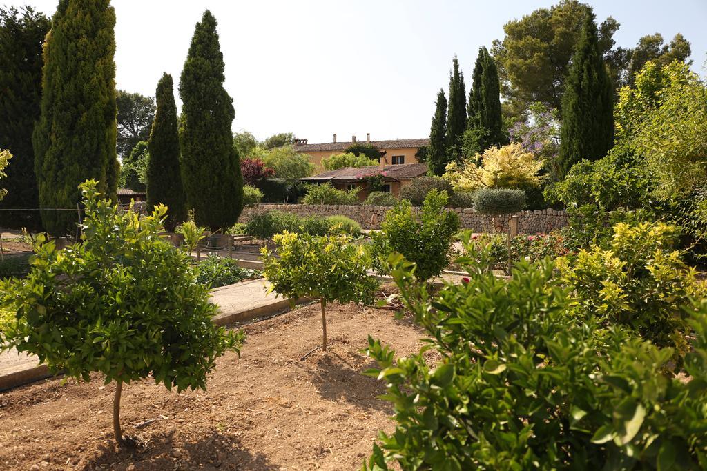Oliver Moragues Grandhouse & Vineyard Algaida  Extérieur photo