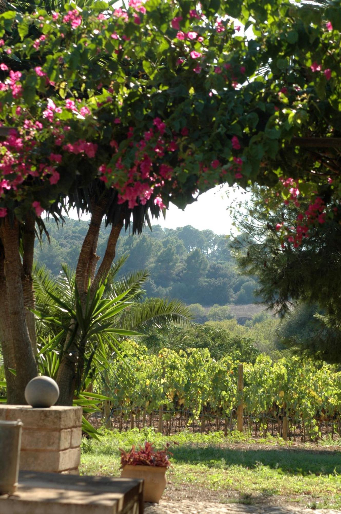 Oliver Moragues Grandhouse & Vineyard Algaida  Extérieur photo