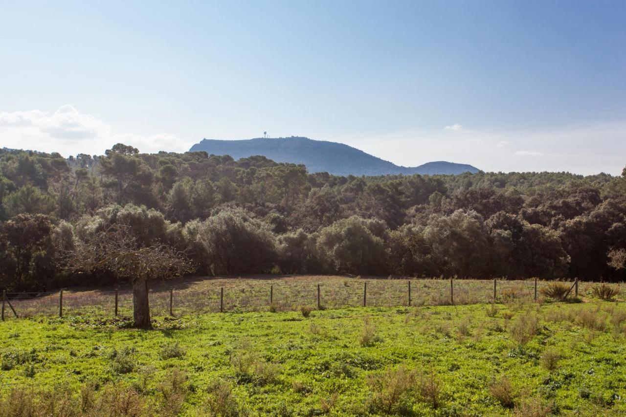 Oliver Moragues Grandhouse & Vineyard Algaida  Extérieur photo