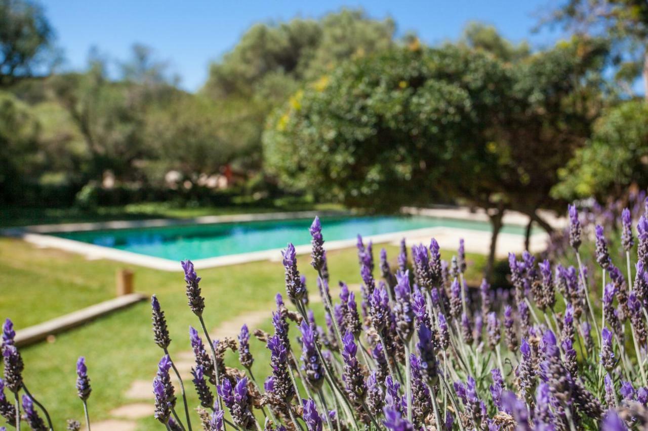 Oliver Moragues Grandhouse & Vineyard Algaida  Extérieur photo